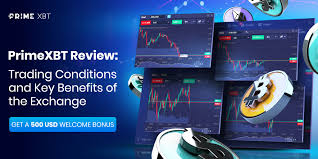 PrimeXBT vs Pocket Option A Comprehensive Comparison for Traders PrimeXBT vs Pocket Option A Comprehensive Comparison for Traders